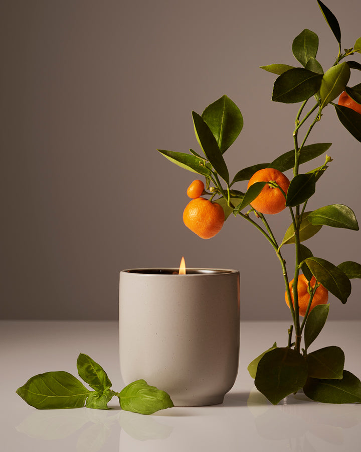 Homecourt by Courteney Cox: Limited Edition Candle