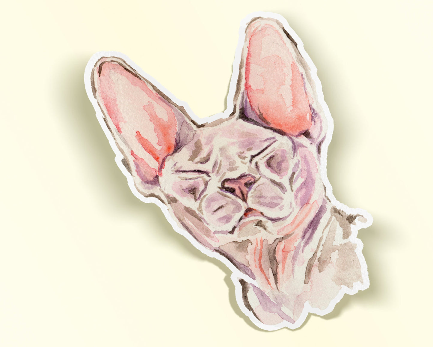 kathyphantastic: Sphynx Cat Sticker